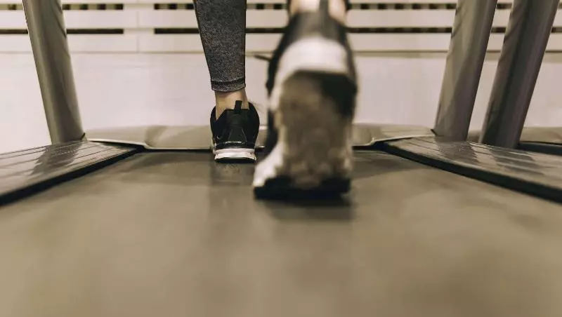 호텔 Magnuson Brownsville