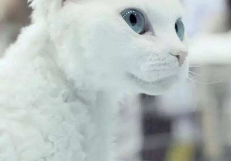 ペンション Eleon