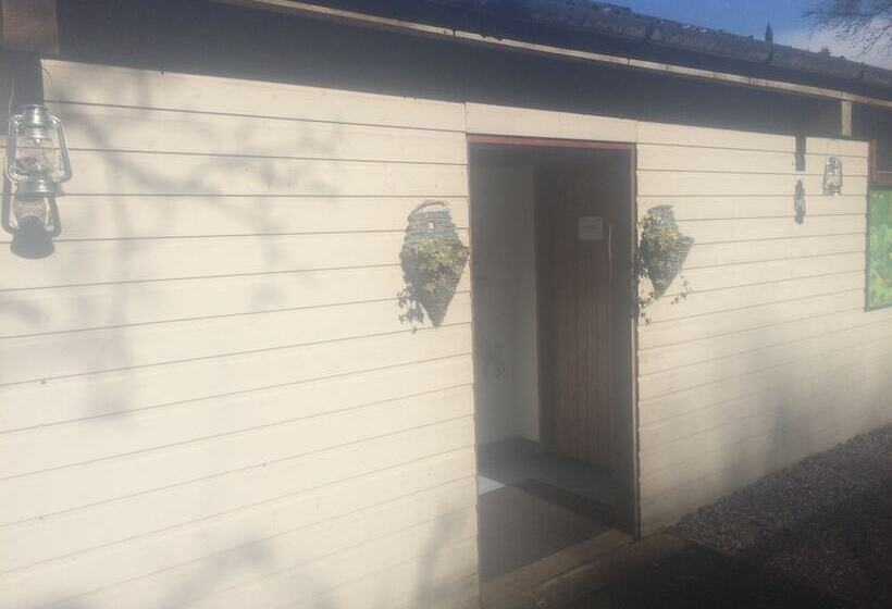 فندق Yurtcamp Devon