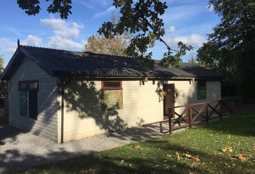 فندق Yurtcamp Devon