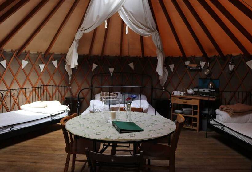 فندق Yurtcamp Devon