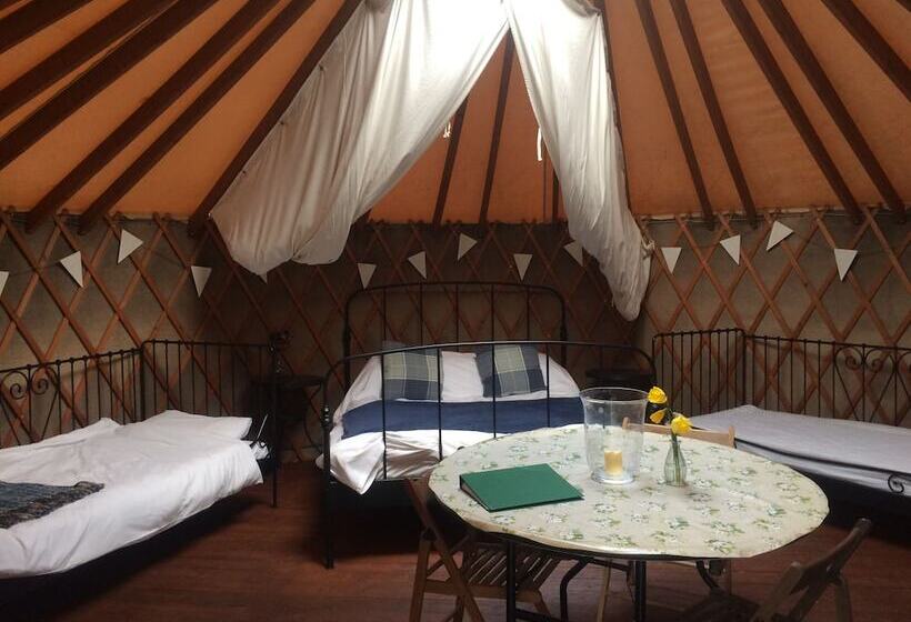 فندق Yurtcamp Devon