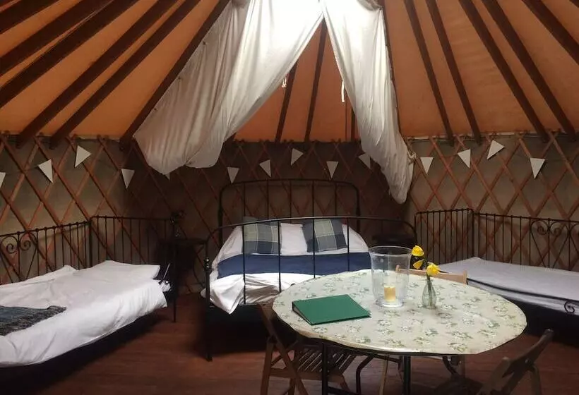 Hotel Yurtcamp Devon