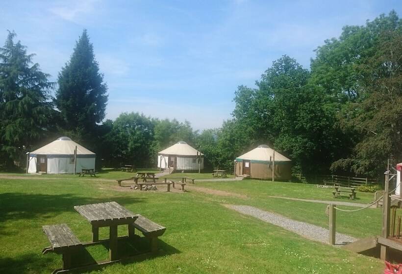 فندق Yurtcamp Devon