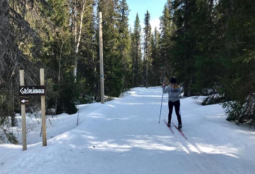 פנסיון Grönländaren