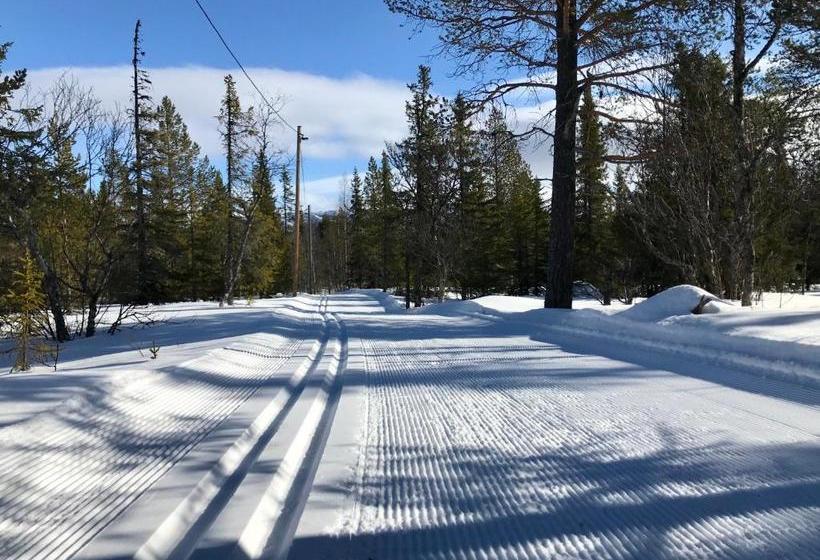 פנסיון Grönländaren