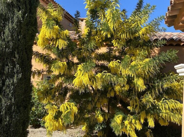 پانسیون Aux Senteurs Jasmin