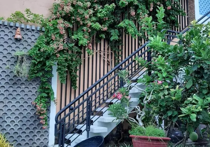 پانسیون Green Grapefruit Villa