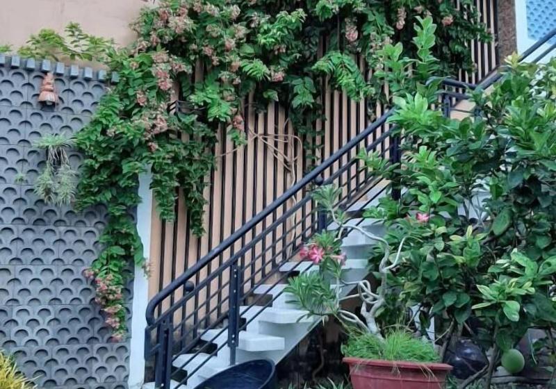 پانسیون Green Grapefruit Villa