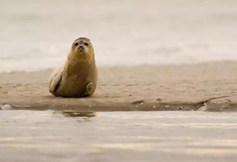 ペンション L Instant