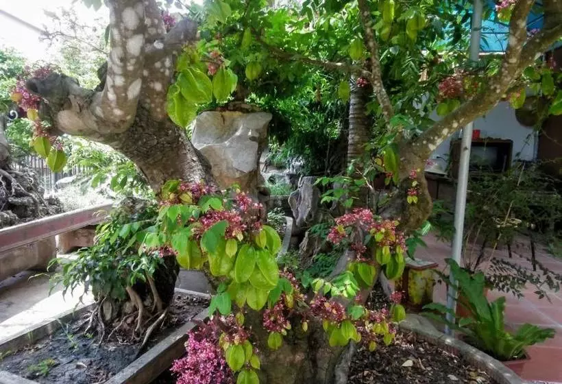 پانسیون Trang An Precious Homestay