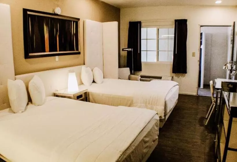 汽车旅馆  Devonshire Inn