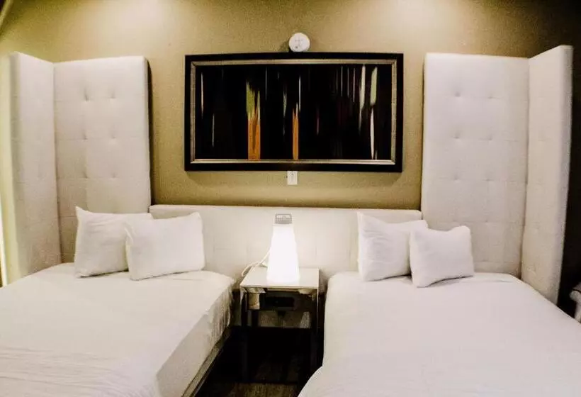 汽车旅馆  Devonshire Inn