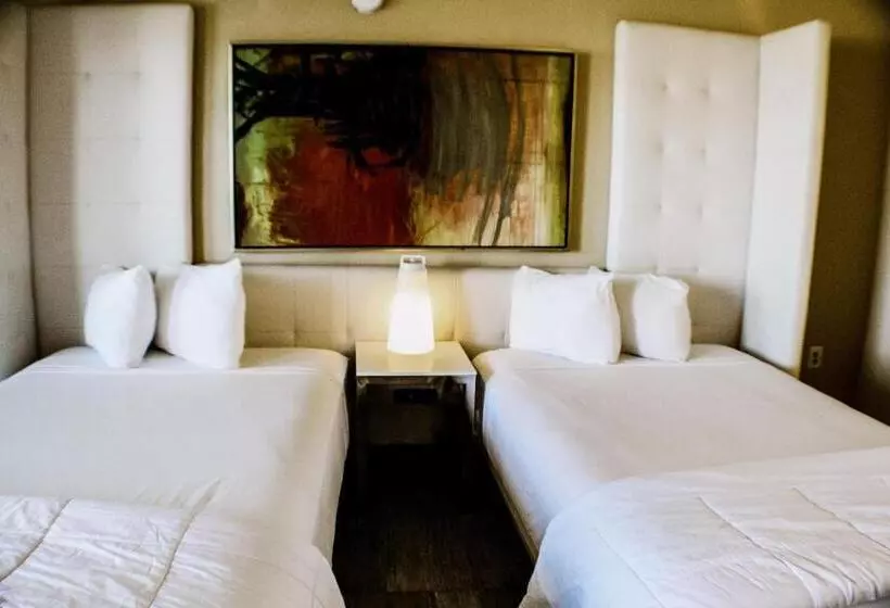 汽车旅馆  Devonshire Inn