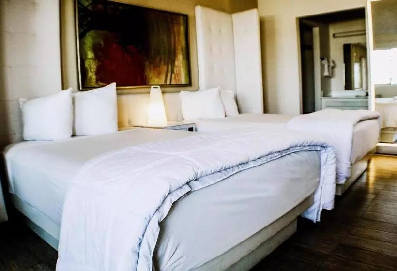 汽车旅馆  Devonshire Inn