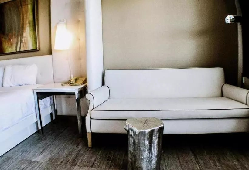 汽车旅馆  Devonshire Inn