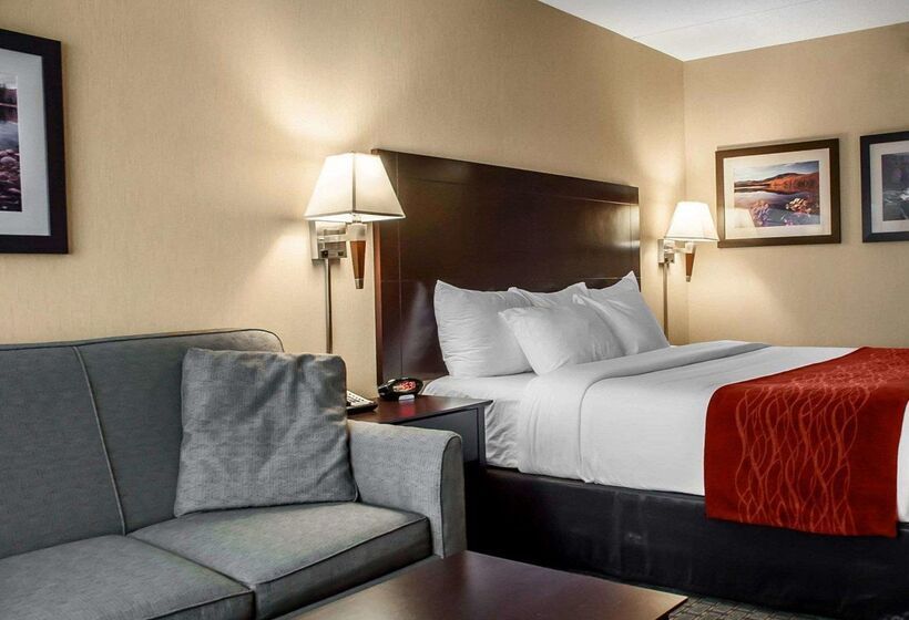 בית מלון כפרי Comfort Inn & Suites Watertown  1000 Islands