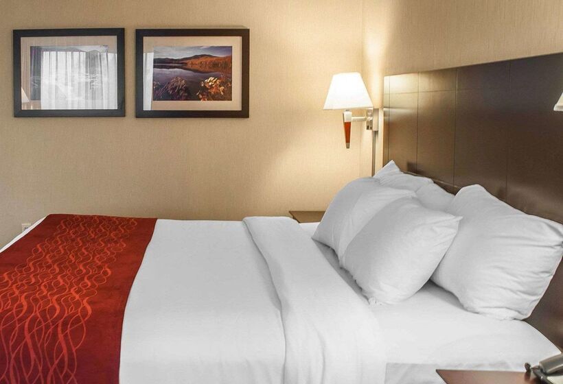 בית מלון כפרי Comfort Inn & Suites Watertown  1000 Islands