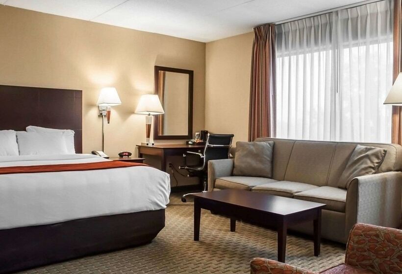 בית מלון כפרי Comfort Inn & Suites Watertown  1000 Islands