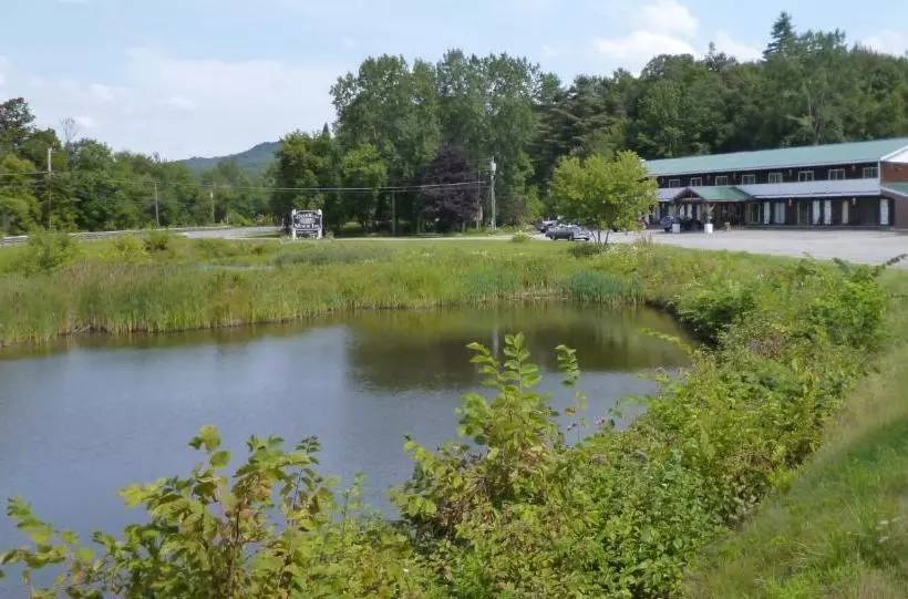 Отель Deer Run Motor Inn