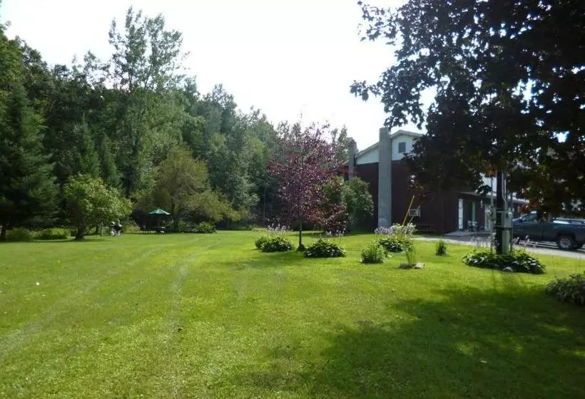 Отель Deer Run Motor Inn