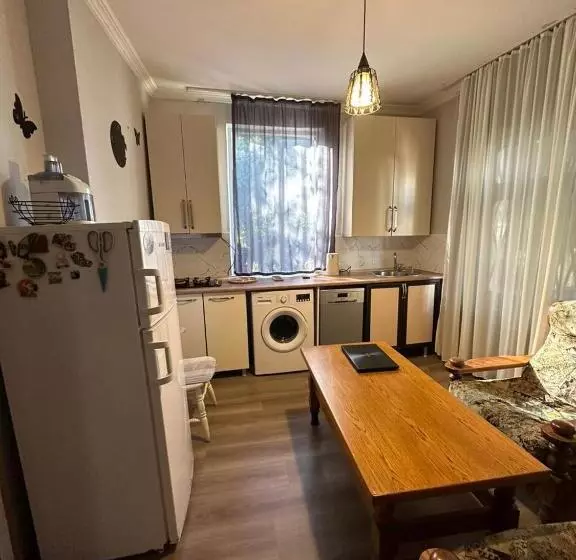 پانسیون Guest House Amazon