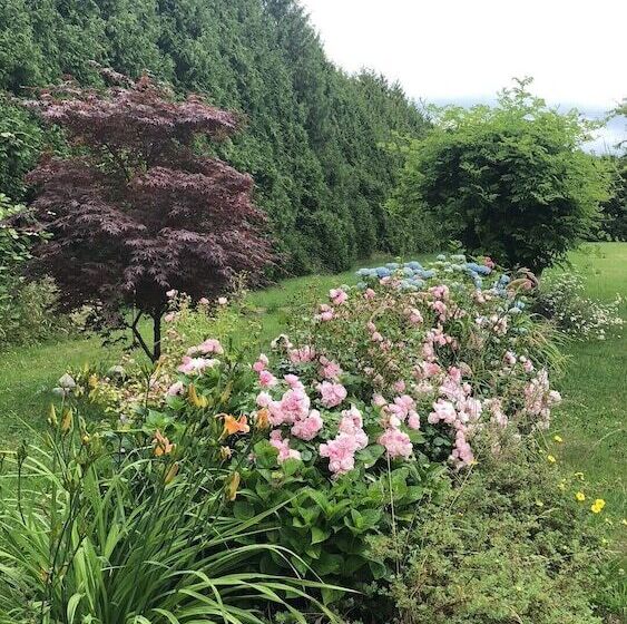 Cedar Manor Bed And Breakfast