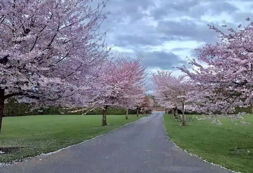 Cedar Manor Bed And Breakfast