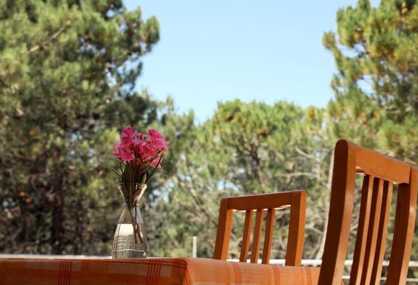 فندق Velipoja Grand Europa Resort, Affiliated By Melia