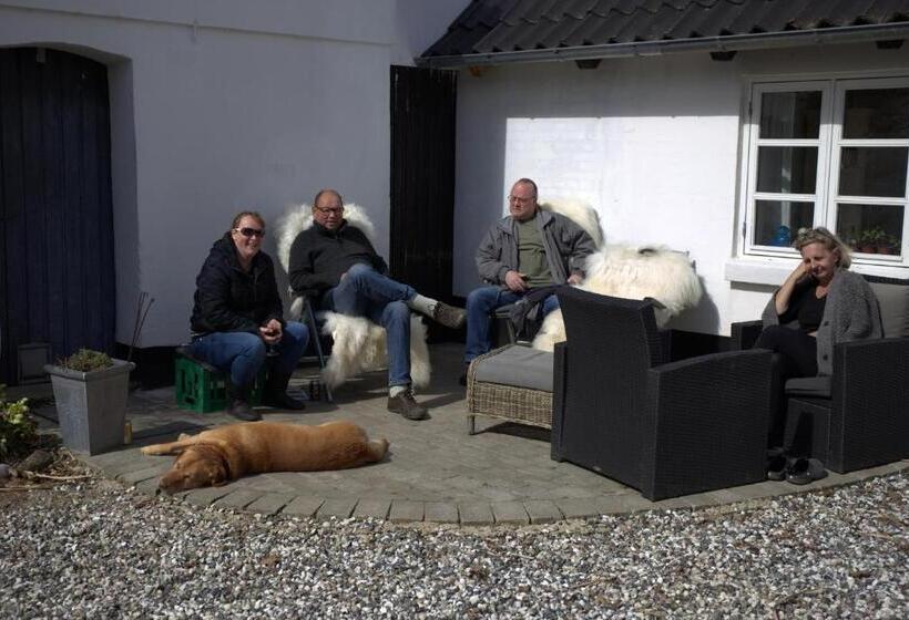 Stutteri Skandihest Apartments