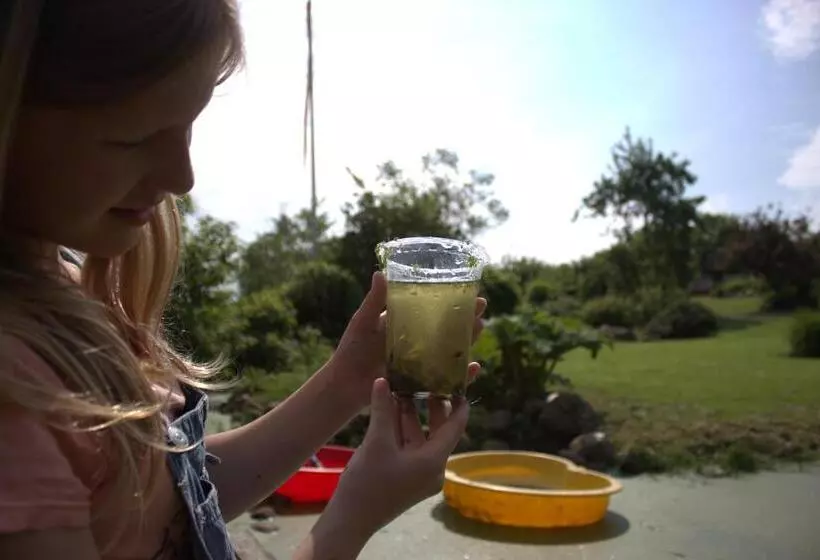 Stutteri Skandihest Apartments