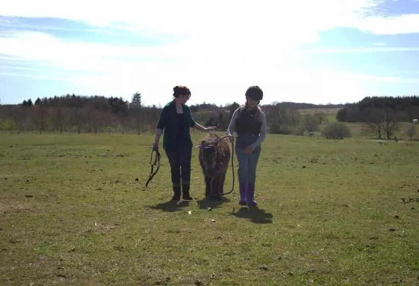 Stutteri Skandihest Apartments