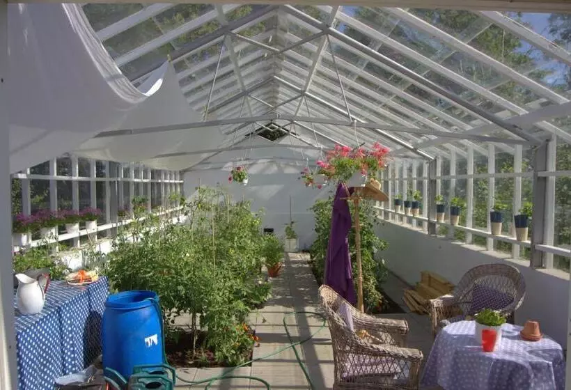 Stutteri Skandihest Apartments