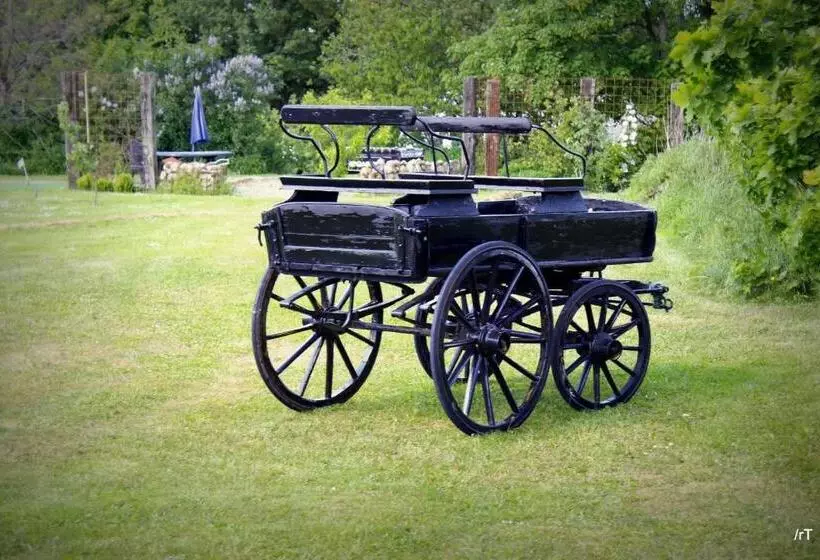 Stutteri Skandihest Apartments