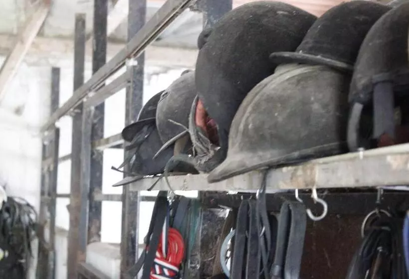 Stutteri Skandihest Apartments