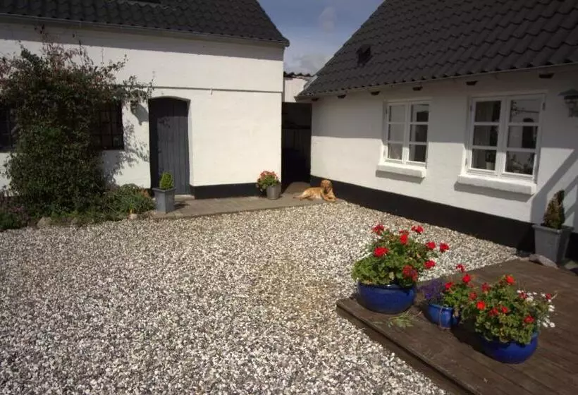 Stutteri Skandihest Apartments