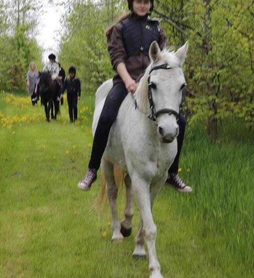Stutteri Skandihest Apartments