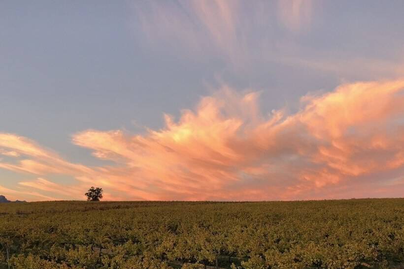 بنسيون Wellington Country House