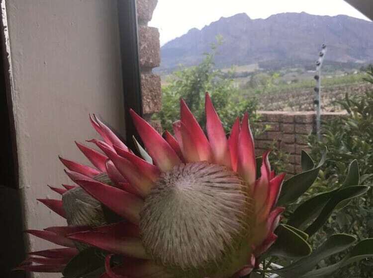 بنسيون Wellington Country House