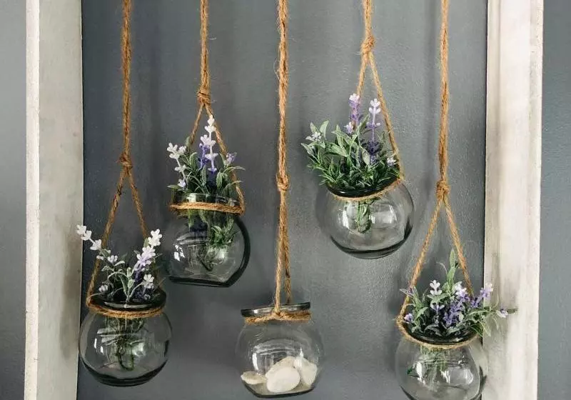 Pensión Peasant´s Palace