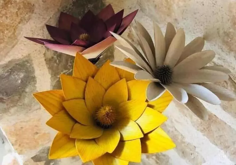 Pensión Peasant´s Palace