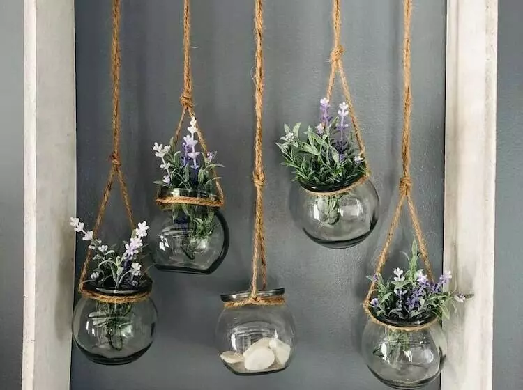 Pensión Peasant´s Palace