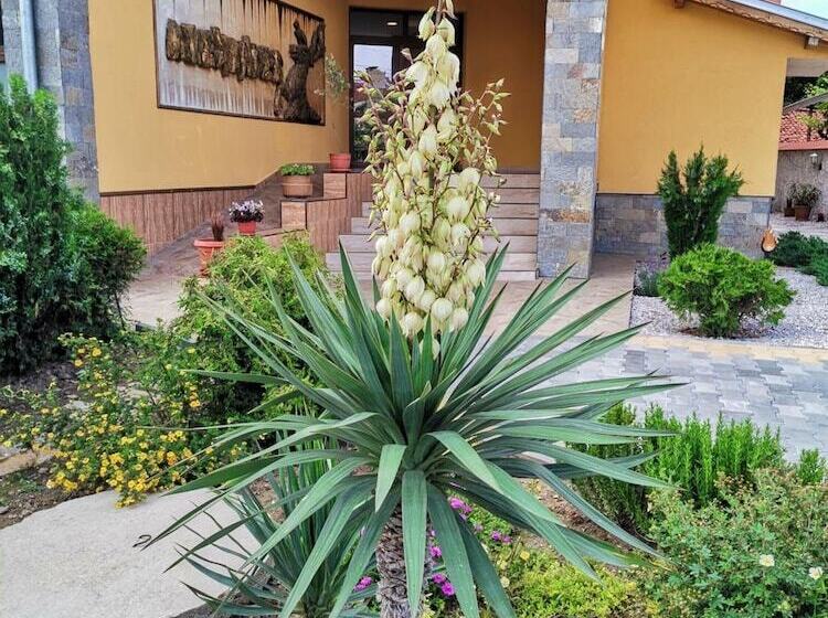 בית מלון כפרי Alexander