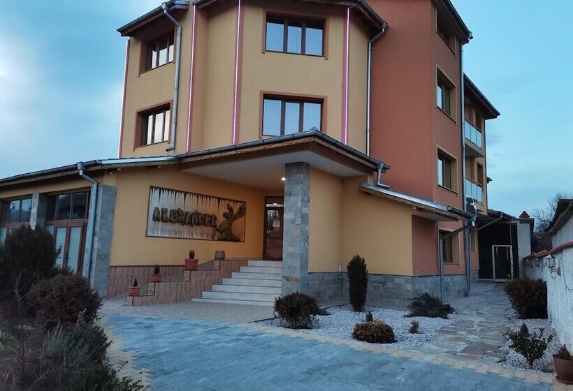 בית מלון כפרי Alexander