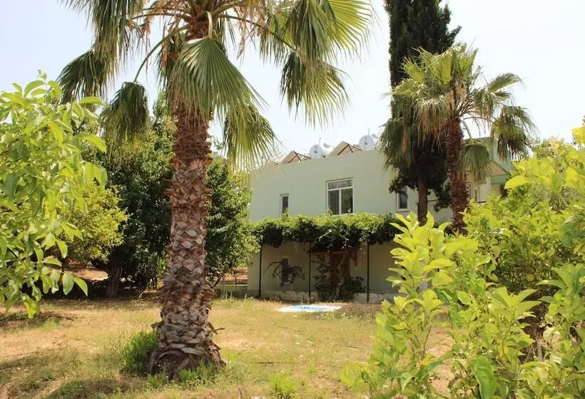 هتل Patara Caretta