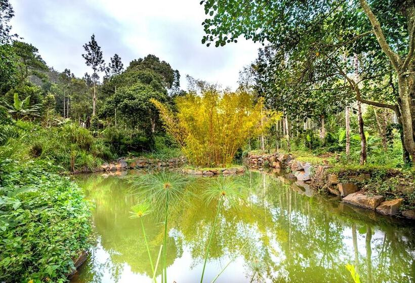 Hotel Shambala Yercaud