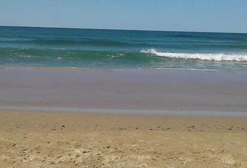 Пансион Ariana