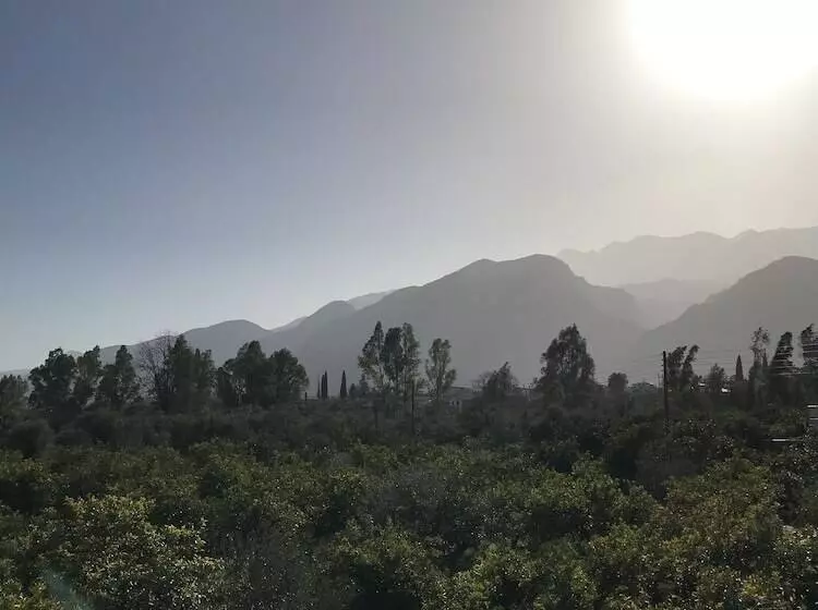 ペンション Taygetos