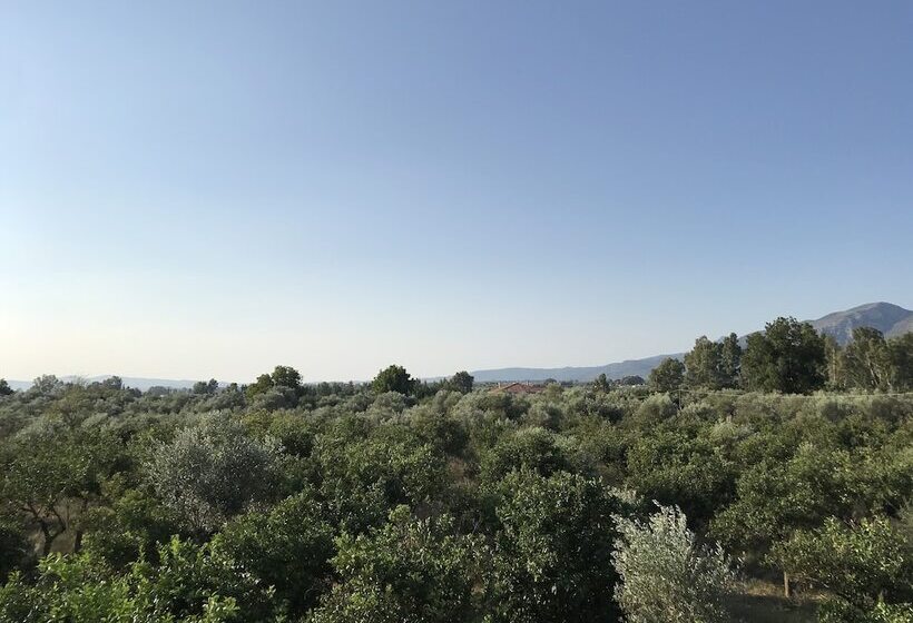 פנסיון Taygetos