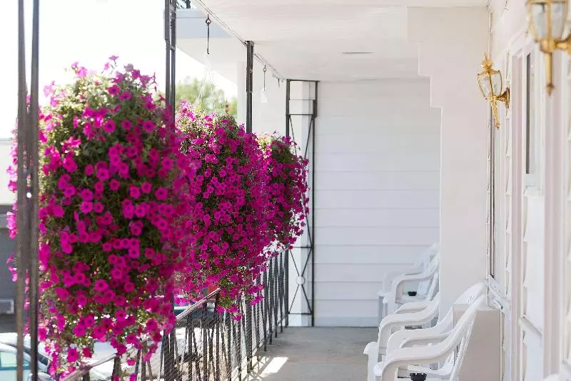 Мотель Baymont By Wyndham Lake George